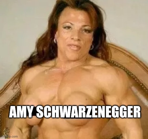 Oh My Gosh | AMY SCHWARZENEGGER | image tagged in sexy women | made w/ Imgflip meme maker