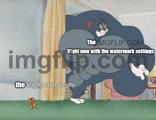 imgflip | IMGFLIP.COM; The; Right now with the watermark settings; the; imgflip.com on gifs | image tagged in buff tom and jerry meme template,imgflip | made w/ Imgflip meme maker