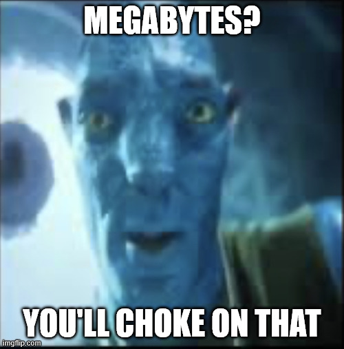 Megabytes | MEGABYTES? YOU'LL CHOKE ON THAT | image tagged in compressed avatar | made w/ Imgflip meme maker