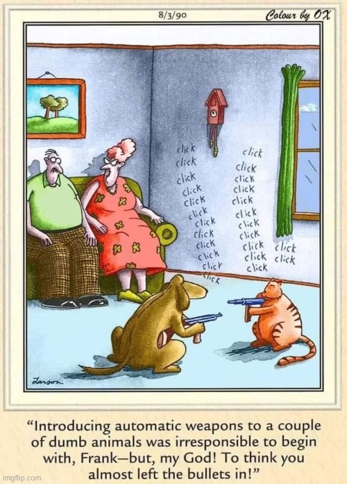 They’ll eventually start beating each other over the head with those things… | image tagged in the far side,comics,cat and dog,guns,unloaded | made w/ Imgflip meme maker