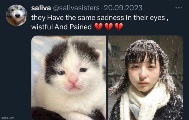 wistful And Pained | made w/ Imgflip meme maker