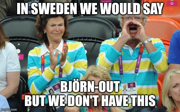 Burnout in sweden | IN SWEDEN WE WOULD SAY; BJÖRN-OUT
BUT WE DON'T HAVE THIS | image tagged in king of sweden,burnout,mental health,sweden | made w/ Imgflip meme maker