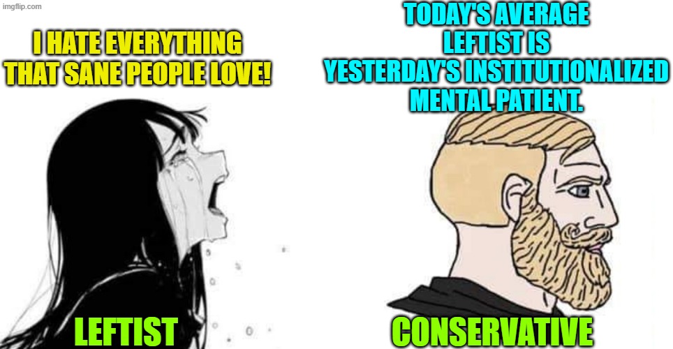 This is accurate, and you KNOW that it is accurate. | TODAY'S AVERAGE LEFTIST IS YESTERDAY'S INSTITUTIONALIZED MENTAL PATIENT. I HATE EVERYTHING THAT SANE PEOPLE LOVE! LEFTIST; CONSERVATIVE | image tagged in babe please | made w/ Imgflip meme maker
