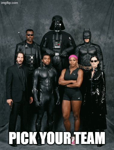 PICK YOUR TEAM | PICK YOUR TEAM | image tagged in gifs,team,lol,funny memes,hero,video games | made w/ Imgflip images-to-gif maker