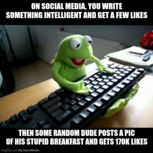 KermitRocks | image tagged in memes,funny memes | made w/ Imgflip meme maker