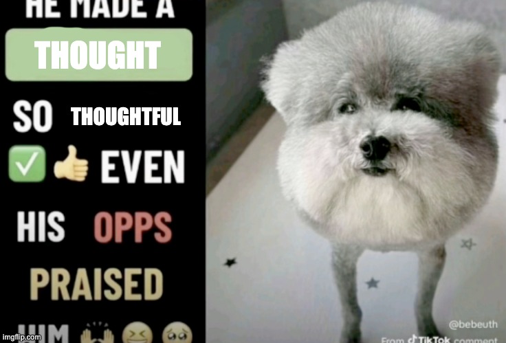 He made a statement so good even his opps praised him | THOUGHT; THOUGHTFUL | image tagged in he made a statement so good even his opps praised him | made w/ Imgflip meme maker