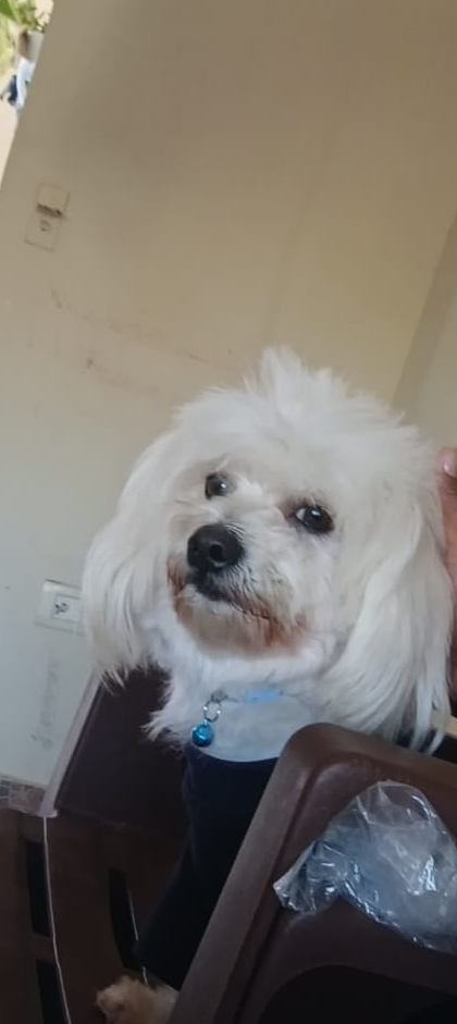 Yo todo enojado por qué mi mamá no me dejó salir Blank Meme Template