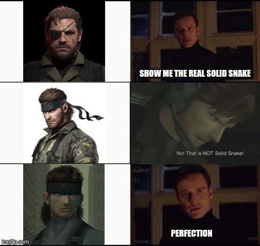 This is not a good meme but I made it anyways, enjoy | SHOW ME THE REAL SOLID SNAKE; PERFECTION | image tagged in no that is not solid snake | made w/ Imgflip meme maker