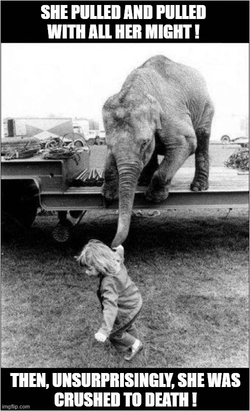 An Unusual Way To Go ... | SHE PULLED AND PULLED WITH ALL HER MIGHT ! THEN, UNSURPRISINGLY, SHE WAS
CRUSHED TO DEATH ! | image tagged in elephant,little girl,pulling,crushed | made w/ Imgflip meme maker