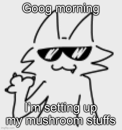 Awesomesauce | Goog morning; I’m setting up my mushroom stuffs | image tagged in awesomesauce | made w/ Imgflip meme maker