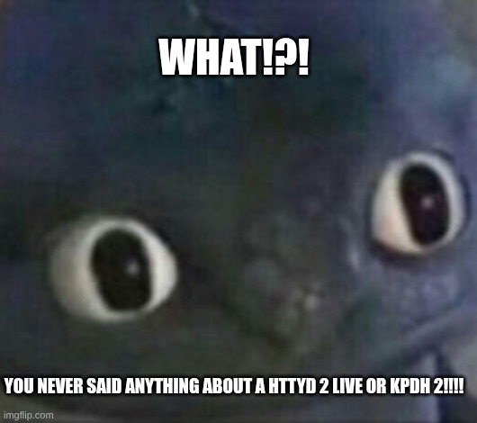 I need comments | WHAT!?! YOU NEVER SAID ANYTHING ABOUT A HTTYD 2 LIVE OR KPDH 2!!!! | image tagged in toothless shocked | made w/ Imgflip meme maker