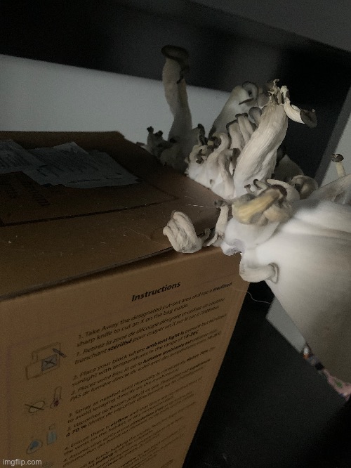 DUDE | made w/ Imgflip meme maker