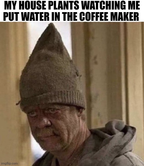 My House Plants Watching Me Put Water In The Coffee Maker | MY HOUSE PLANTS WATCHING ME PUT WATER IN THE COFFEE MAKER | image tagged in chrisjoines1 | made w/ Imgflip meme maker
