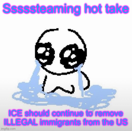 Me when | Sssssteaming hot take; ICE should continue to remove ILLEGAL immigrants from the US | image tagged in me when | made w/ Imgflip meme maker