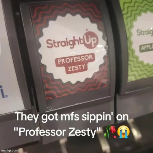 professor zesty | image tagged in what | made w/ Imgflip meme maker