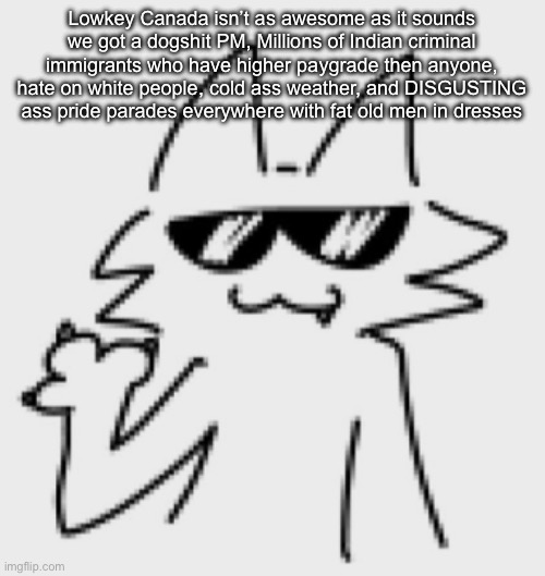 I HATE IT HERE | Lowkey Canada isn’t as awesome as it sounds we got a dogshit PM, Millions of Indian criminal immigrants who have higher paygrade then anyone, hate on white people, cold ass weather, and DISGUSTING ass pride parades everywhere with fat old men in dresses | image tagged in awesomesauce | made w/ Imgflip meme maker