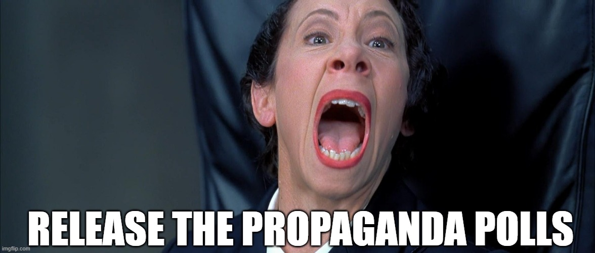 Polls | RELEASE THE PROPAGANDA POLLS | image tagged in frau farbissina | made w/ Imgflip meme maker