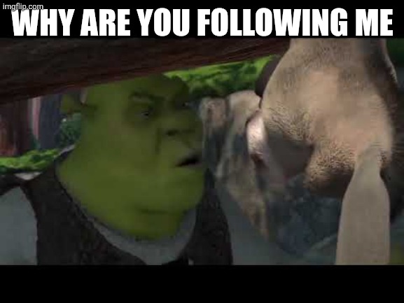 Shrek Why are you following me | WHY ARE YOU FOLLOWING ME | image tagged in shrek why are you following me | made w/ Imgflip meme maker