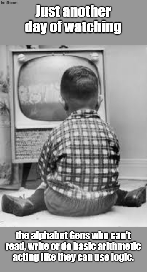 Is it fair to treat them like they should know how to work instead of looking at their phone? | Just another day of watching; the alphabet Gens who can't read, write or do basic arithmetic acting like they can use logic. | image tagged in tv | made w/ Imgflip meme maker
