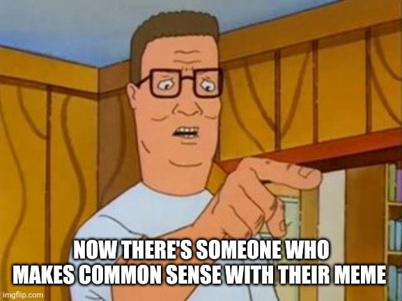 Hank Hill You Two Take Turns wo/subtitle | NOW THERE'S SOMEONE WHO MAKES COMMON SENSE WITH THEIR MEME | image tagged in hank hill you two take turns wo/subtitle | made w/ Imgflip meme maker