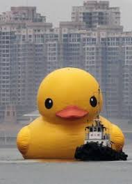 giant rubber duck chase Blank Meme Template