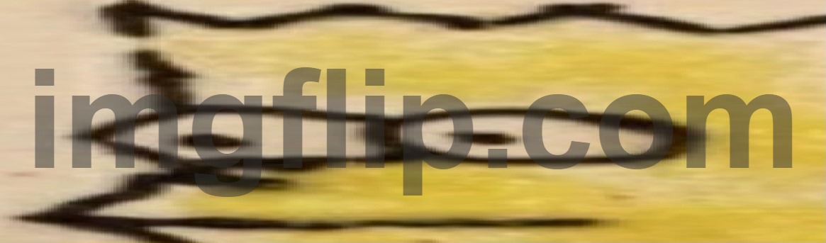 Bort | image tagged in bort | made w/ Imgflip meme maker