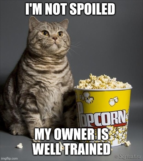 I'm not spoiled | I'M NOT SPOILED; MY OWNER IS WELL TRAINED | image tagged in cat eating popcorn | made w/ Imgflip meme maker