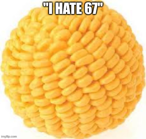 Cornball | "I HATE 67" | image tagged in cornball | made w/ Imgflip meme maker