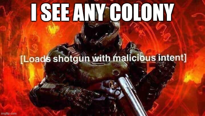 Loads shotgun with malicious intent | I SEE ANY COLONY | image tagged in loads shotgun with malicious intent | made w/ Imgflip meme maker