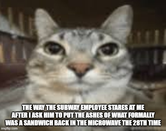 i like it extremely rare | THE WAY THE SUBWAY EMPLOYEE STARES AT ME AFTER I ASK HIM TO PUT THE ASHES OF WHAT FORMALLY WAS A SANDWICH BACK IN THE MICROWAVE THE 28TH TIME | image tagged in cat staring | made w/ Imgflip meme maker