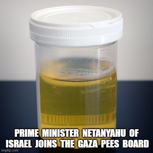 Well-Deserved | PRIME  MINISTER  NETANYAHU  OF  ISRAEL  JOINS  THE  GAZA  PEES  BOARD | image tagged in israel | made w/ Imgflip meme maker