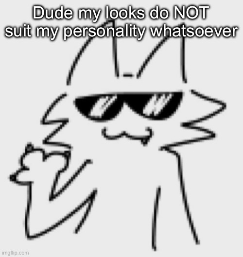 Awesomesauce | Dude my looks do NOT suit my personality whatsoever | image tagged in awesomesauce | made w/ Imgflip meme maker