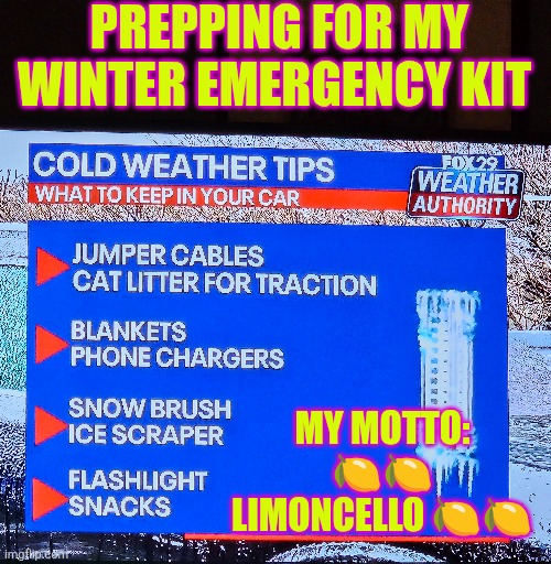 my winter emergency kit = limoncello | PREPPING FOR MY WINTER EMERGENCY KIT; MY MOTTO: 🍋🍋 LIMONCELLO 🍋🍋 | image tagged in winter,emergency,philly,car safety,driving,cocktails | made w/ Imgflip meme maker