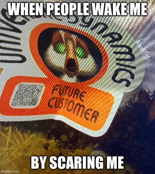 WAKE up call | WHEN PEOPLE WAKE ME; BY SCARING ME | image tagged in funny | made w/ Imgflip meme maker