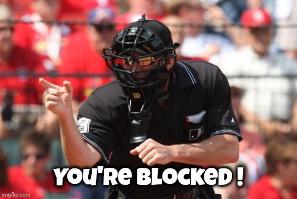Umpire | You're blocked ! | image tagged in umpire | made w/ Imgflip meme maker