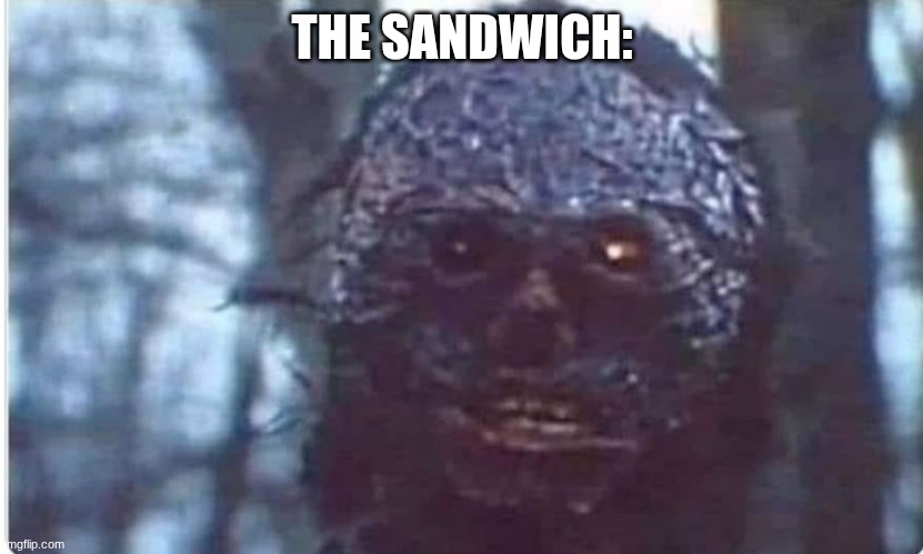 Burnt can't believe | THE SANDWICH: | image tagged in burnt can't believe | made w/ Imgflip meme maker