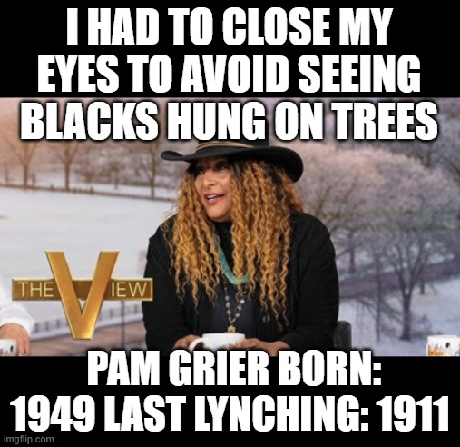 America where there's so little racism, you have to make shit up to score those sweet victimhood points. | I HAD TO CLOSE MY EYES TO AVOID SEEING BLACKS HUNG ON TREES; PAM GRIER BORN: 1949 LAST LYNCHING: 1911 | image tagged in hatehoaxer,the view,leftoids | made w/ Imgflip meme maker