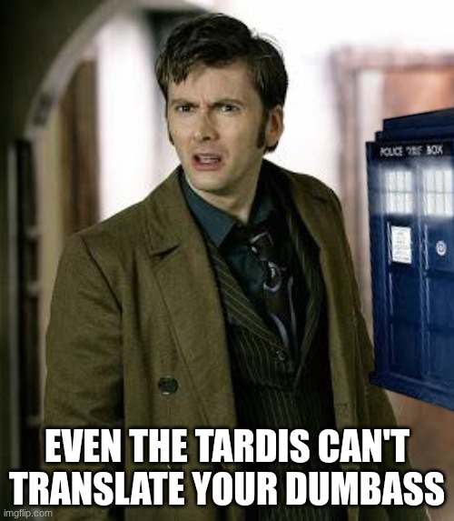 doctor who is confused | EVEN THE TARDIS CAN'T TRANSLATE YOUR DUMBASS | image tagged in doctor who is confused | made w/ Imgflip meme maker
