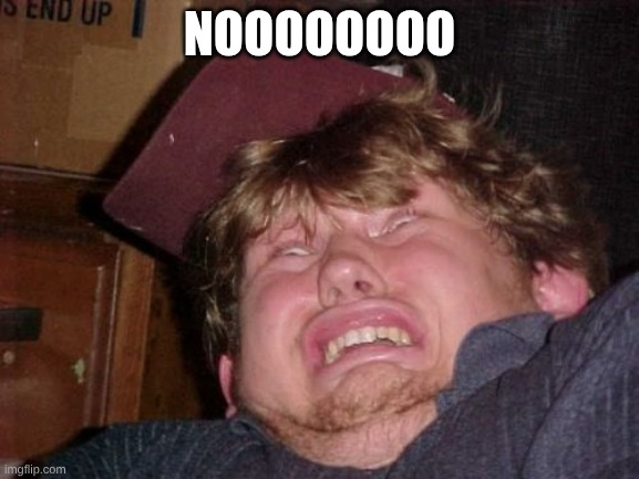 WTF Meme | NOOOOOOOO | image tagged in memes,wtf | made w/ Imgflip meme maker