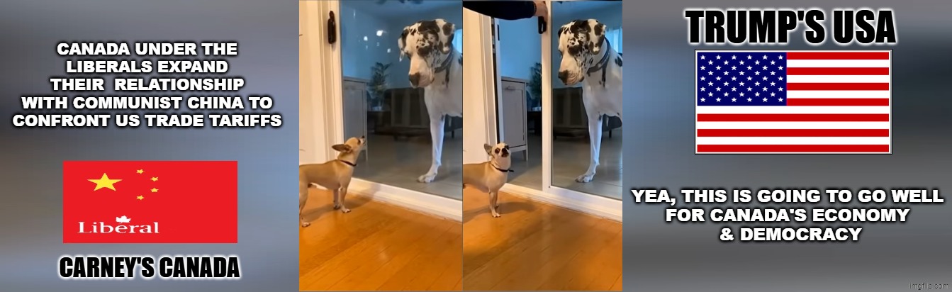 Carney's Canada Confronts Trump's USA at Davos | CANADA UNDER THE LIBERALS EXPAND THEIR  RELATIONSHIP
WITH COMMUNIST CHINA TO CONFRONT US TRADE TARIFFS; TRUMP'S USA; YEA, THIS IS GOING TO GO WELL
FOR CANADA'S ECONOMY
 & DEMOCRACY; CARNEY'S CANADA | made w/ Imgflip meme maker