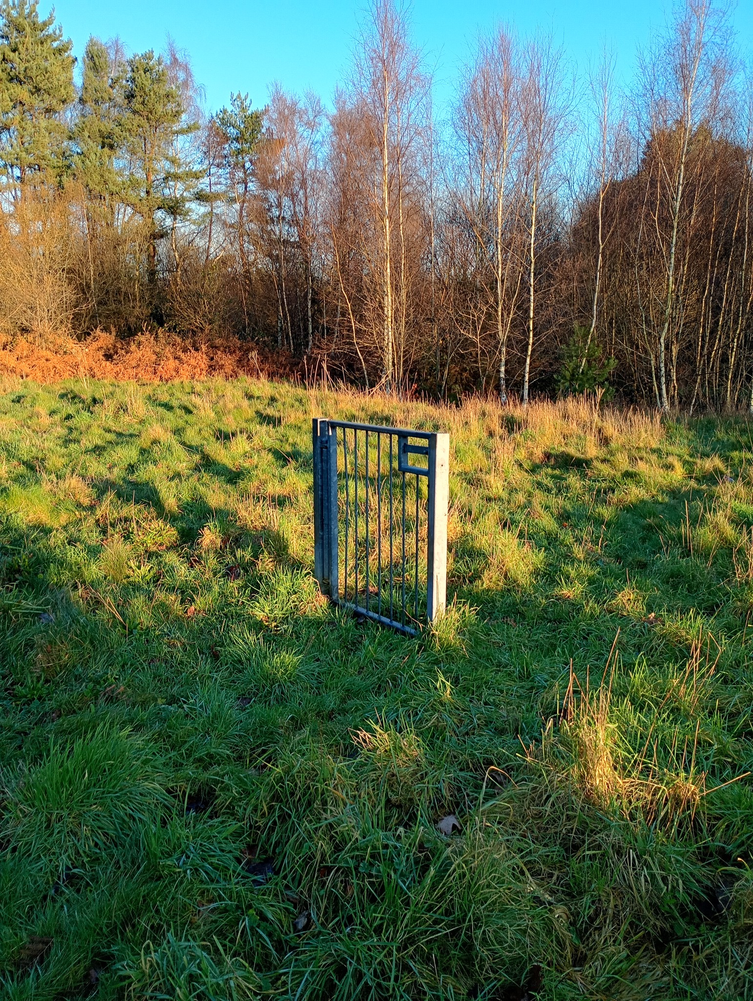 Gate in the middle of nothing Blank Meme Template