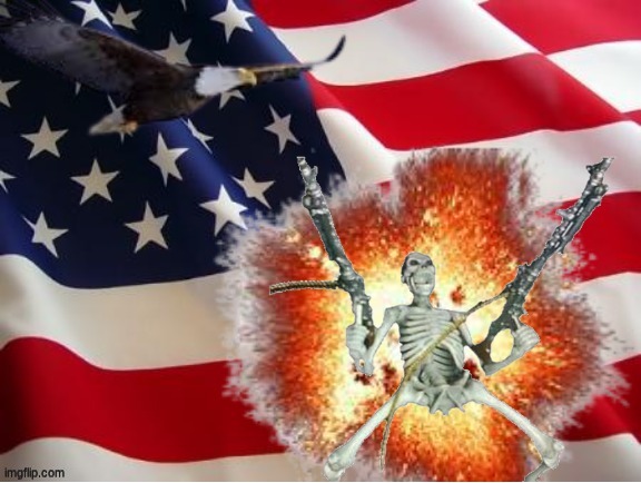 AMERICA!!!!!!!!!!!!!!!!!!!!!!!!!! | image tagged in america | made w/ Imgflip meme maker