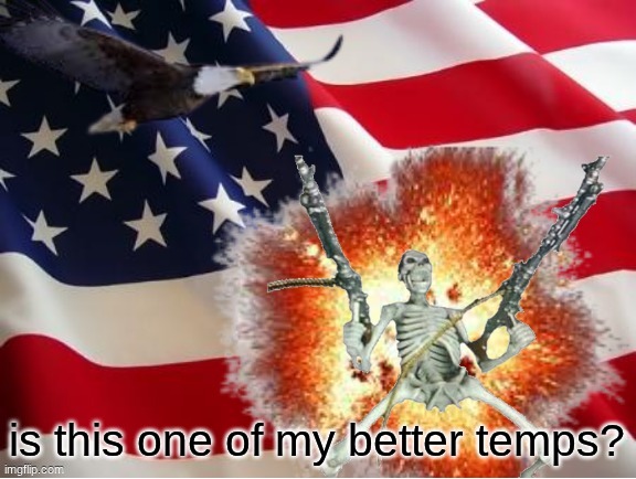 AMERICA!!!!!!!!!!!!!!!!!!!!!!!!!! | is this one of my better temps? | image tagged in america | made w/ Imgflip meme maker