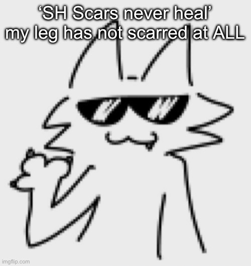 Awesomesauce | ‘SH Scars never heal’ my leg has not scarred at ALL | image tagged in awesomesauce | made w/ Imgflip meme maker