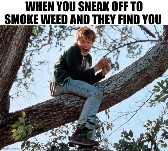When You Sneak Off To Smoke Weed | WHEN YOU SNEAK OFF TO SMOKE WEED AND THEY FIND YOU | image tagged in chrisjoines1 | made w/ Imgflip meme maker