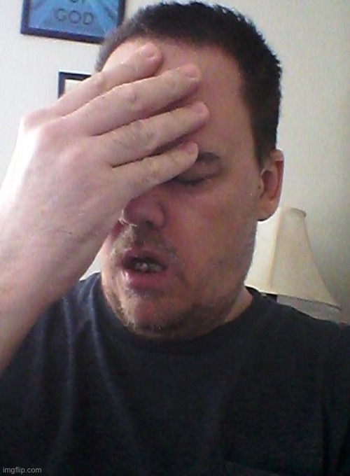 image tagged in face palm | made w/ Imgflip meme maker