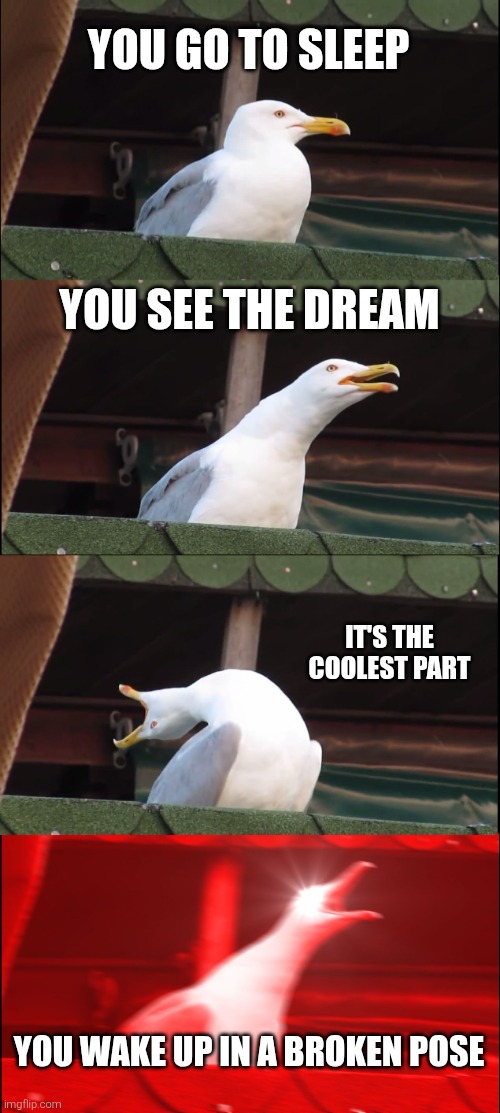Always | YOU GO TO SLEEP; YOU SEE THE DREAM; IT'S THE COOLEST PART; YOU WAKE UP IN A BROKEN POSE | image tagged in memes,inhaling seagull | made w/ Imgflip meme maker