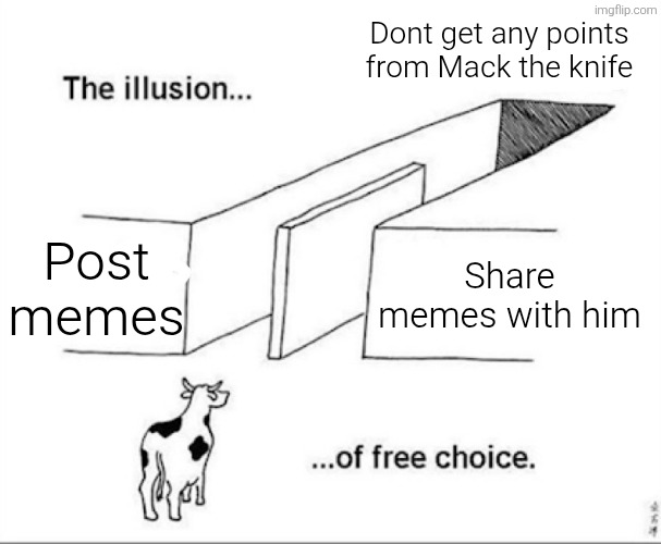 reality | Dont get any points from Mack the knife; Post memes; Share memes with him | image tagged in illusion of free choice | made w/ Imgflip meme maker