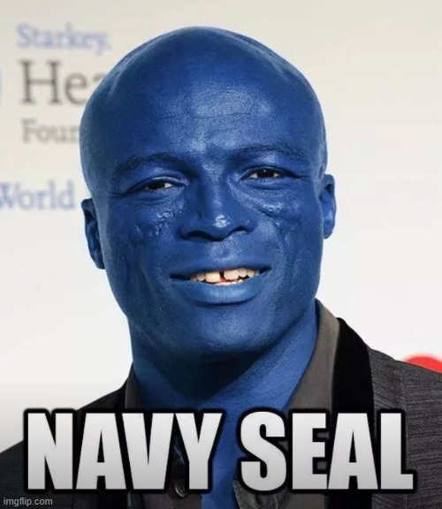 Cry Seal Cry | image tagged in music,seal | made w/ Imgflip meme maker