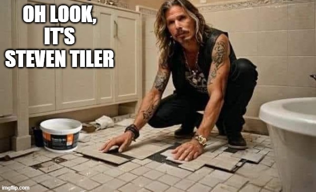 Dude Looks Like a Tiler | OH LOOK, IT'S STEVEN TILER | image tagged in music | made w/ Imgflip meme maker